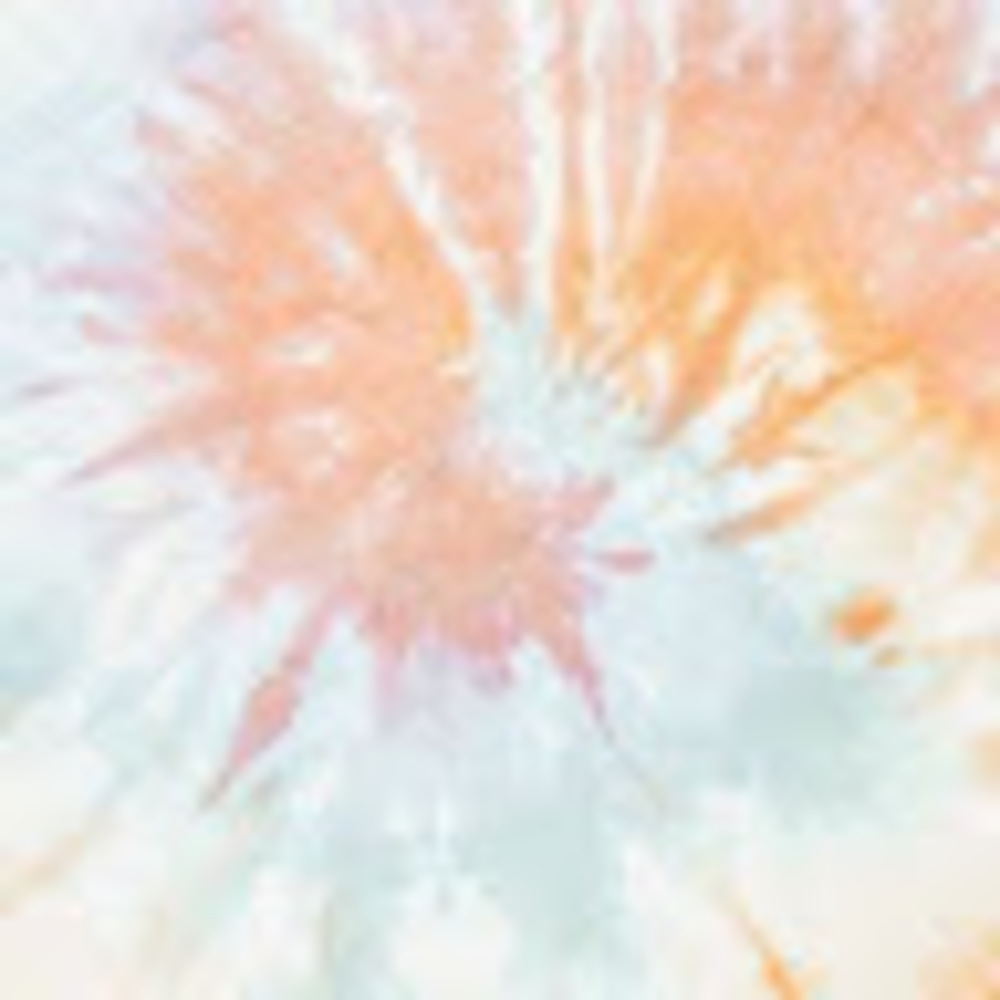 Meet your Posher, Shyann